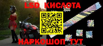молекула духа Гатчина