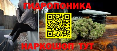 молекула духа Гатчина