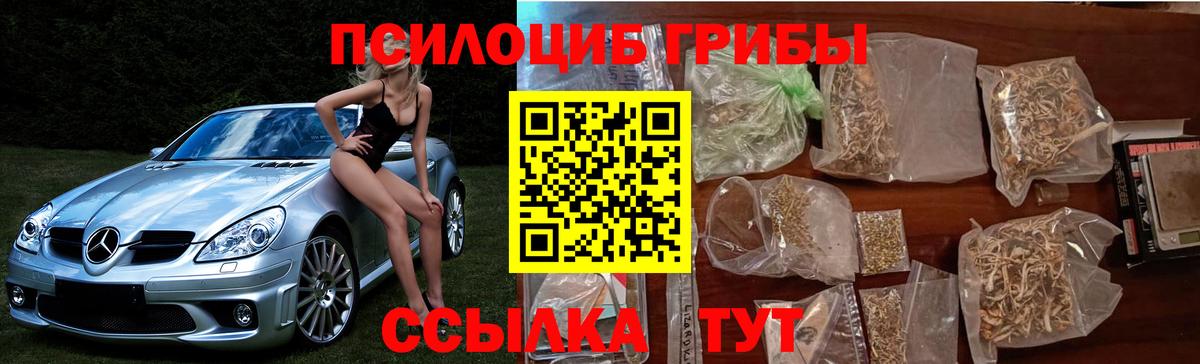 Псилоцибиновые грибы Magic Shrooms Дзержинск